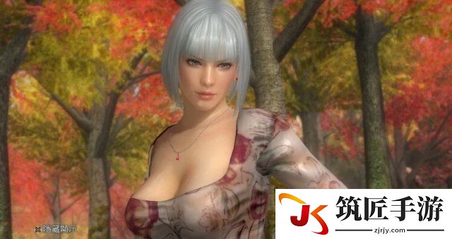 死或生5：最后一战 次世代全女角色新发型新造型截图