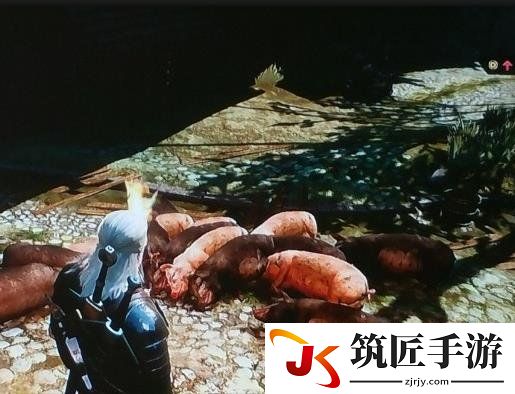 巫师3狂猎1.31版刷钱方法