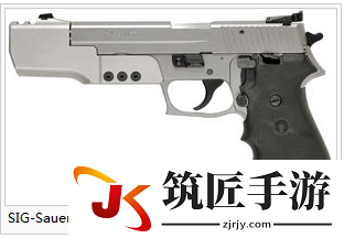 《生化危机6》武器全解析 数据分析+原型
