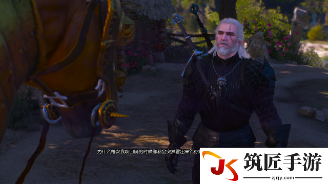 巫师3马之灵任务怎么做