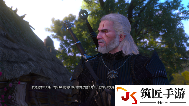 巫师3马之灵任务怎么做