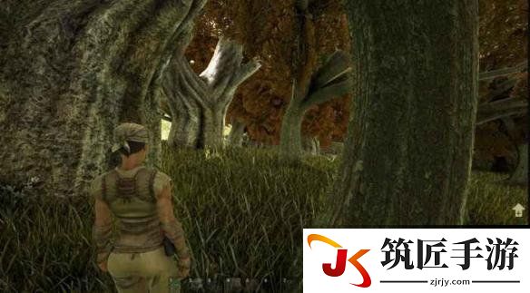 游侠网