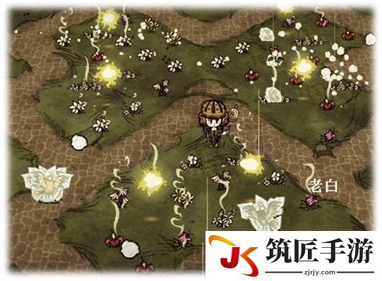 饥荒联机版威尔逊单杀蜂后攻略