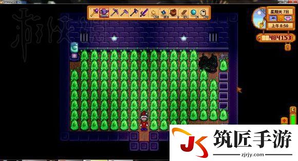 星露谷物语1.6汉化版手机下载 星露谷物语怎么布局史莱姆屋