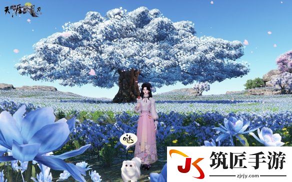 修猫修狗什么意思 江湖的新春是和修猫修狗儿一起度过的~