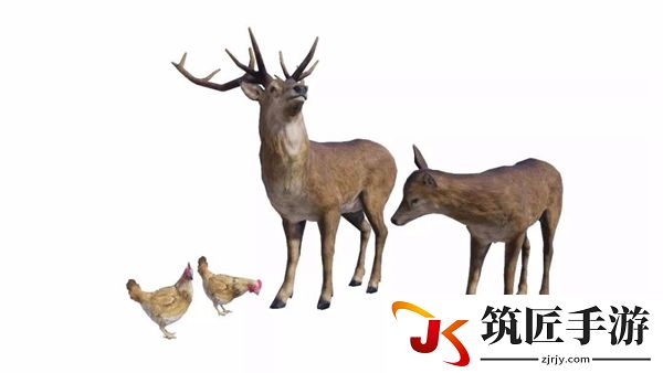 刺激战场极寒模式烹饪烤肉任务攻略