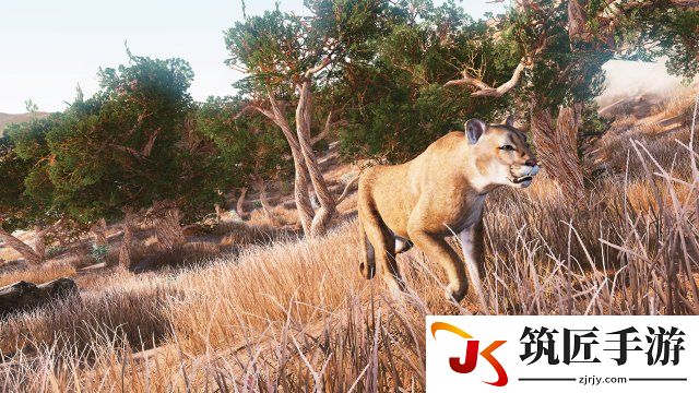 模拟狩猎如何获得高分 模拟狩猎加分规则一览