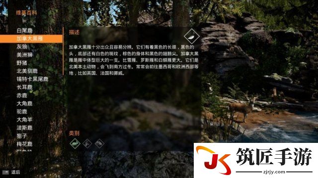 模拟狩猎全猎物介绍一览 模拟狩猎有哪些猎物