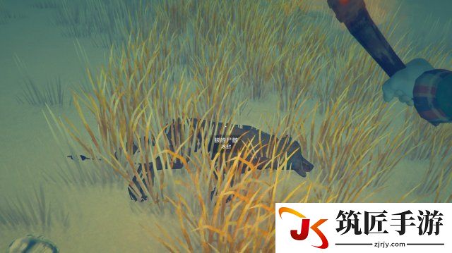 漫漫长夜神秘胡铁路安全狩猎地点一览