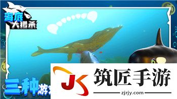 博德之门3枭熊幼崽入队 博德之门3敏捷属性相关能力